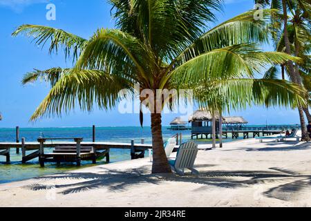 Der weiße Sandstrand in einem luxuriösen Strandresort an einem sonnigen Tag mit Palapas, Palmen, Piers und Liegestühlen in San Pedro, Belize. Stockfoto