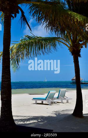 Eine malerische Szene von zwei Liegestühlen unter der Sonne in einem Strandresort auf Ambergris Caye, San Pedro, Belize, mit Blick auf das Wasser und Palmen dahinter. Stockfoto