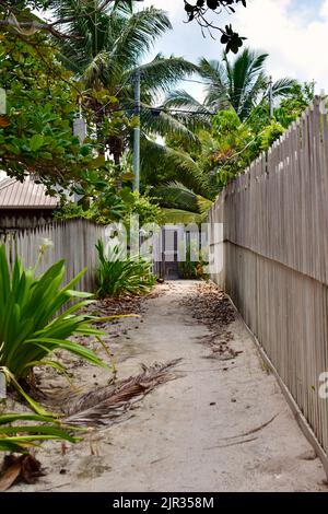 Eine sandige Strandgasse mit tropischer Vegetation und Holzzäunen auf Ambergris Caye, Belize. Stockfoto