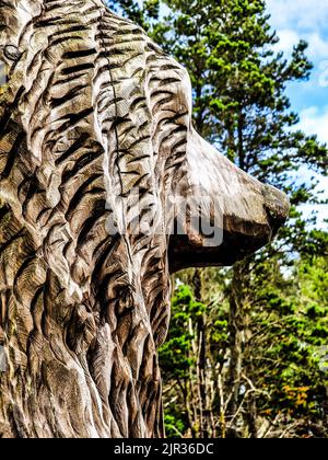 Statue von Herkules, dem Bären in den Langass Woods auf North Uist Stockfoto