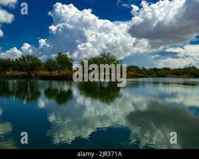 Während einer aktiven Sommermonsunsaison bauen sich in der Wüste von Arizona Sturmwolken auf, die dem ausgetrocknete Klima dringend benötigten Schatten und Regen bringen Stockfoto