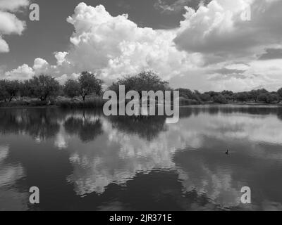 Während einer aktiven Sommermonsunsaison bauen sich in der Wüste von Arizona Sturmwolken auf, die dem ausgetrocknete Klima dringend benötigten Schatten und Regen bringen Stockfoto