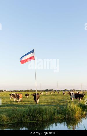 Die niederländische Nationalflagge steht auf dem Kopf in Ackerland als Symbol für den Protest der Landwirte gegen die Regierung gegen die Reduzierung der Tierhaltung Stockfoto