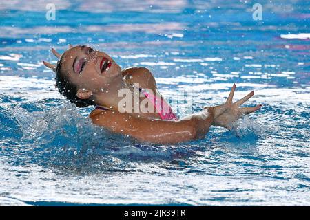 12.. August 2022; Rom, Italien: Schwimmeuropameisterschaften, Roma, Lazio, Italia 2022; SHORTMAN Kate SOLO TECHNISCH - FINALE Stockfoto