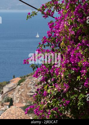 Rosafarbene Bougainvillea-Blumen auf griechischer Insel mit Ägäischem Meer, Terrakotta-Dächern und Segelboot im Hintergrund Stockfoto