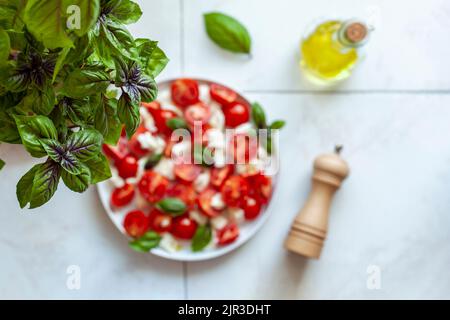 caprese Salat serviert unter der roten, Basilikum-Pflanze, Home Gartenkonzept, Draufsicht, Fokus auf die Basilikum-Pflanze Stockfoto