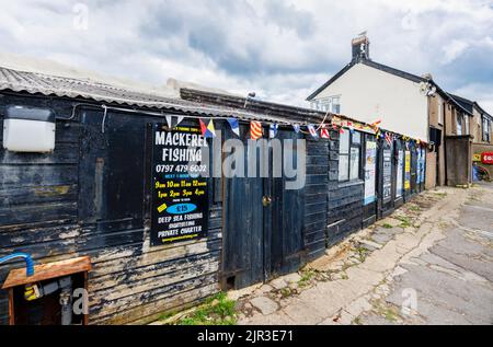 Werbung für Makrelenangeln auf der Cobb bei Lyme Regis, einer beliebten Küstenstadt in Dorset an der Jurassic Coast im Südwesten Englands Stockfoto