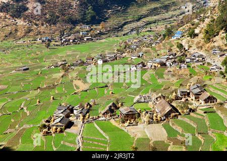 Dogadi Dorf mit terrassenförmigem Reis oder Reisfeld - wunderschön Dorf im Westen Nepals Stockfoto