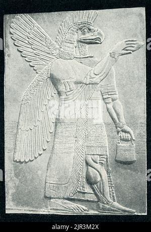 Die 1910 Überschrift lautet: 'Geflügelte Gottheiten - ein assyrisches Relief. Das Original befindet sich im British Museum in London.“ Dieses Genie, oder Demi-gott, war Teil einer Gruppe von geflügelten Kreaturen gegenüber einem stilisierten Baum, eine Szene wiederholt sich zahlreiche Male im Palast. Sie scheinen Fruchtbarkeitsrituale zu machen, die mit der Dattelpalme verbunden sind, einem Baum, der von den Assyrern heilig gehalten wird, weil er Nahrung, Getränke, Holz und Schutz bietet. Dieses Relief, einst hell bemalt, ist ein Fragment aus dem nordwestlichen Palast, der vom assyrischen König Aschirnasirpal II. (883 – 859 v. Chr.) in seiner Hauptstadt Kalhu, der heutigen irakischen Stadt, erbaut wurde Stockfoto