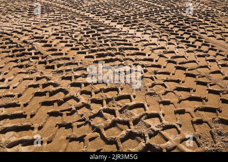 Nahaufnahme schwerer Reifenspuren im Sand. Stockfoto