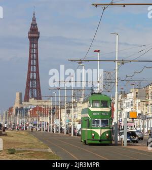 Blackpool Promenade & Tower mit einer 1930s Heritage Green und Cream English Electric Balloon Tram Nummer 700, Lancashire Seaside, England, Großbritannien Stockfoto