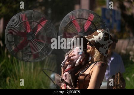 Los Angeles, Kalifornien, USA. 21. August 2022. Eine Frau mit ihrem Hund kühlt sich vor Wasserdampf-Fans bei der Veranstaltung ''Grand Park's Sunday Sessions'' ab, einer Sommertanz-Party, die vom Music Center am Sonntag, dem 21. August 2022, in der Innenstadt von Los Angeles gesponsert wird. (Bild: © Ringo Chiu/ZUMA Press Wire) Stockfoto