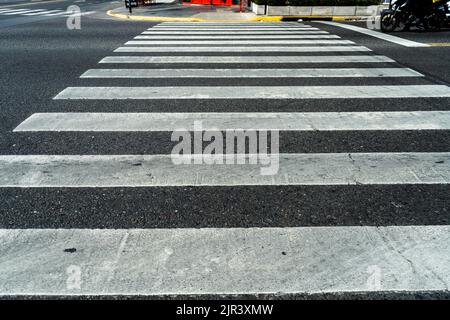 Ein Zebra überquert Streifen auf einer Straße Stockfoto