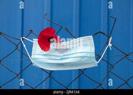 Eine medizinische Maske wiegt hinter einem Eisenzaun und neben einer roten Mohnblume auf einem blauen Hintergrund draußen, einer geschlossenen Quarantänezone Stockfoto