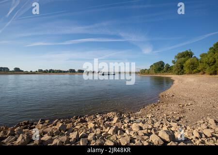 Meerbusch - Blick auf zwei Airport-Brücken, wo es im letzten Monat wegen der Verbrennung von Pflanzen nicht geregnet hat, Nordrhein-Westfalen, deutschland, 21.08.2022 Stockfoto