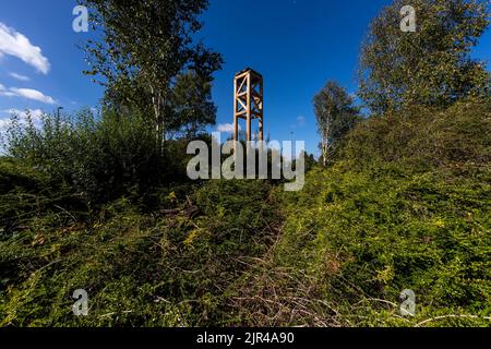 Tower, Lydney Harbour Art Trail. Gloucestershire. Stockfoto