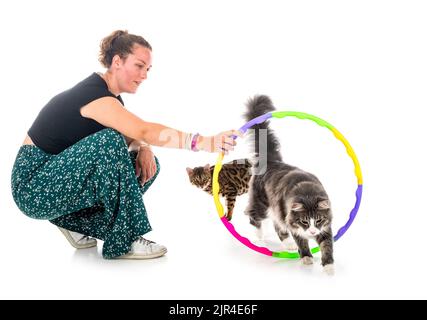 Norwegian Forest Katze und Frau vor weißem Hintergrund Stockfoto