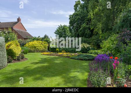 Typischer englischer Vorstadtgarten im Sommer, auf Rasen gelegt, krautige Ränder und Bäume, Gayton Village, Northamptonshire; Teil des offenen Gartenkonzepts Stockfoto