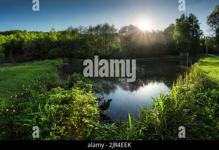 See mit Sonnenreflexion im Wasser in der Nähe von Wald Stockfoto