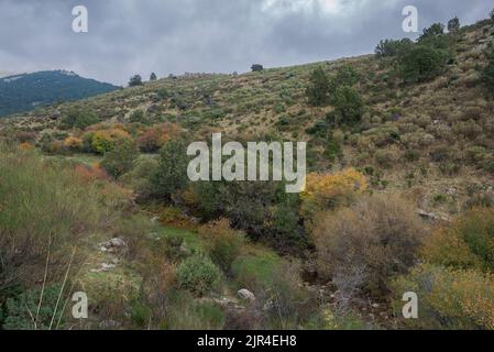 Blick auf den Bach Mediano, im Tal Hueco de San Blas, ein sehr beliebter Ort für Wanderer in der Gemeinde Manzanares el Real, bietet Stockfoto