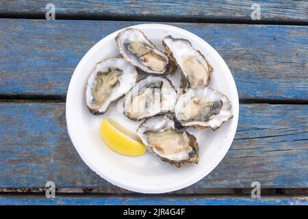 Platte mit frischen Austern in ihren Schalen, West Mersea Oyster Bar, Coast Road, West Mersea, Essex, England, Vereinigtes Königreich Stockfoto