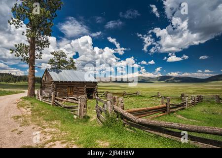 Old Barn, 1941, Ponderosa-Kiefer, Bergwiesen, im Cabin District in Valle Grande, Valles Caldera National Preserve, New Mexico, USA Stockfoto