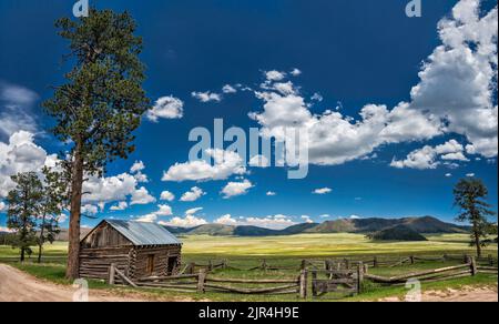 Old Barn, 1941, Ponderosa-Kiefer, Bergwiesen, im Cabin District in Valle Grande, Valles Caldera National Preserve, New Mexico, USA Stockfoto