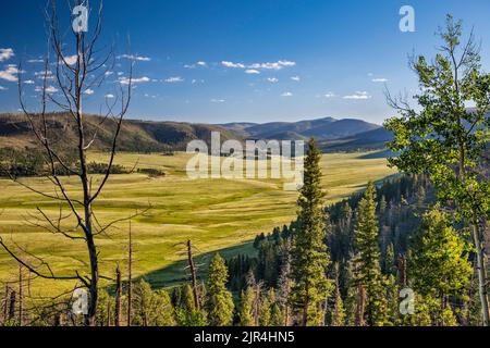 Valle Grande, Cerro del Medio auf der linken Seite, Cerro de los Posos in der Ferne, im Valles Caldera National Preserve, New Mexico, USA Stockfoto