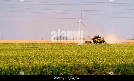 Mähdrescher, die auf einem Feld mit einer Windenergieanlage arbeiten Stockfoto