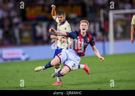 Bologna, Italien. 21. Aug, 2022. Foul von Bologna Jerdy Schouten während Bologna FC gegen Hellas Verona, italienische Fußballserie A Spiel in Bologna, Italien, August 21 2022 Quelle: Independent Photo Agency/Alamy Live News Stockfoto