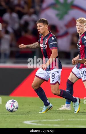 Nicolas Dominguez (Bologna) während des italienischen "Serie A"-Spiels zwischen Bologna 1-1 Hellas Verona im Renato Dall Ara Stadium am 21. August 2022 in Bologna, Italien. Quelle: Maurizio Borsari/AFLO/Alamy Live News Stockfoto