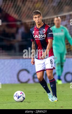 Nicolas Dominguez (Bologna) während des italienischen "Serie A"-Spiels zwischen Bologna 1-1 Hellas Verona im Renato Dall Ara Stadium am 21. August 2022 in Bologna, Italien. Quelle: Maurizio Borsari/AFLO/Alamy Live News Stockfoto