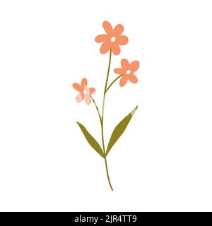 Niedliche rosa Blüten mit Blättern isoliert auf weißem Hintergrund. Vektorgrafik in handgezeichneter, flacher Form. Perfekt für Karten, Logo, Dekorationen, Stock Vektor