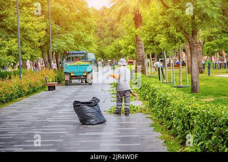 Stadtarbeiter und Gärtner schneiden und schneiden Sträucher im Stadtpark. Tracktor verwendet für die Reinigung und den Transport von Schmutz Stockfoto