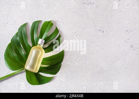 Umweltfreundliche Hautpflege kosmetisches Konzept. monstera Blatt ätherisches Öl Stockfoto