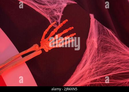 Handskelett und Netze auf rotem Neon. Halloween-Dekor. Stockfoto