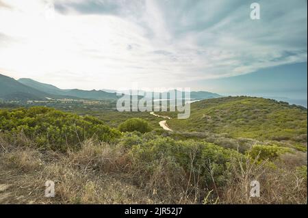 Typische hügelige Landschaft im Süden von Sardinien in Italien, mit der typischen Vegetation dieser Gegend. Stockfoto