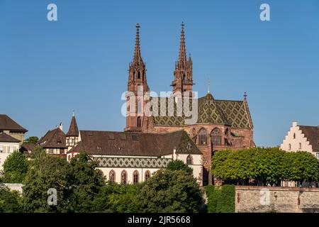 Das Basler Münster und Münsterhügel in Basel, Schweiz, Europa | das Basler Münster und der Domhügel in Basel, Schweiz, Europa Stockfoto