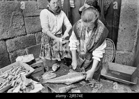 PORTUGAL - PORTO - 1970. Frauen, die Fische auf einem Markt am Fluss im Bezirk Ribeira von Porto, Nordportugal, ausschneiden und zubereiten. Copyright Ph Stockfoto