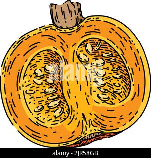 Handgezeichneter Vektor mit Kürbisschnitt-Skizze Stock Vektor