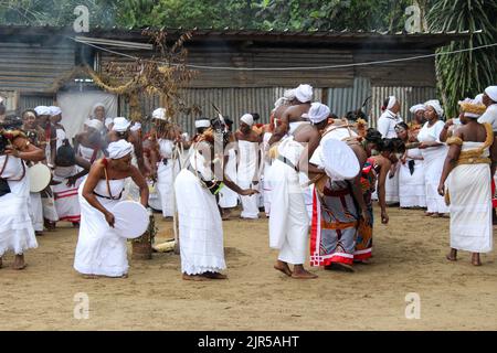 Einweihung des gabunesischen femininen Ritus „Ndjembe“ im Okala-Distrikt in Libreville, 24. August 2014. Die ndjembè (oder niembé, njembe, njembe) gilt als eine indigene Religion Gabuns. Seance d’inition au rite feminin gabonais “Ndjembe “ au quartier Okala a Libreville, 24 Aout 2014. Stockfoto