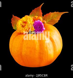 Farbenfrohe natürliche Herbstdekoration mit Kürbis, Blättern und Blumen auf schwarzem Hintergrund Stockfoto