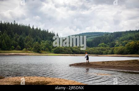 Der Fliegenfischer lockt im Fernworthy Reservoir auf Dartmoor, Devon, wenige Minuten vor dem ersten Regen Forellen während des Niedrigwassers. Stockfoto