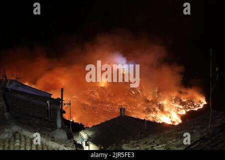 Sant'Agata di Puglia, Italia - 20 agosto 2022: l'incendio boschivo che ha distutto la pineta del monte della Croce Stockfoto