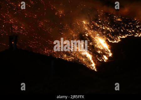 Sant'Agata di Puglia, Italia - 20 agosto 2022: l'incendio boschivo che ha distutto la pineta del monte della Croce Stockfoto