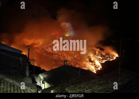 Sant'Agata di Puglia, Italia - 20 agosto 2022: l'incendio boschivo che ha distutto la pineta del monte della Croce Stockfoto