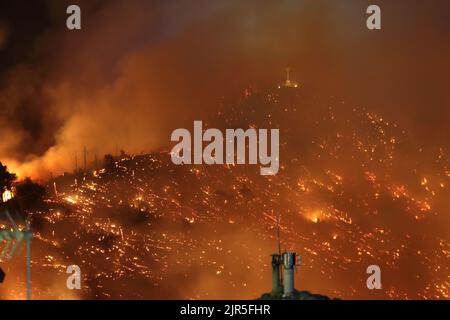 Sant'Agata di Puglia, Italia - 20 agosto 2022: l'incendio boschivo che ha distutto la pineta del monte della Croce Stockfoto