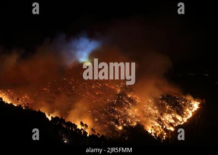 Sant'Agata di Puglia, Italia - 20 agosto 2022: l'incendio boschivo che ha distutto la pineta del monte della Croce Stockfoto