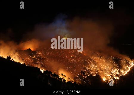 Sant'Agata di Puglia, Italia - 20 agosto 2022: l'incendio boschivo che ha distutto la pineta del monte della Croce Stockfoto