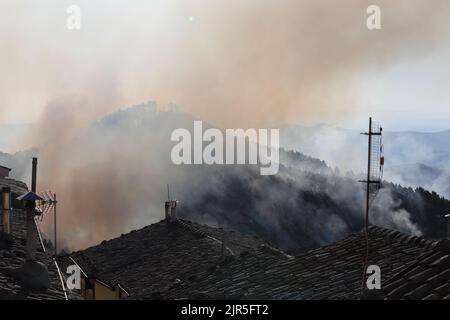 Sant'Agata di Puglia, Italia - 21 agosto 2022: l'incendio boschivo divampato durante la notte che ha distutto la pineta del monte della Croce Stockfoto